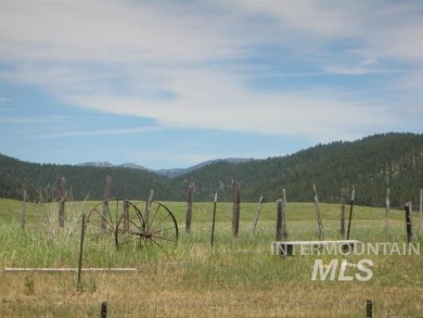 Welcome Home to Elk Meadows River Ranches, with only 14 lots on Osprey Meadows at Tamarack Resort in Idaho - for sale on GolfHomes.com, golf home, golf lot