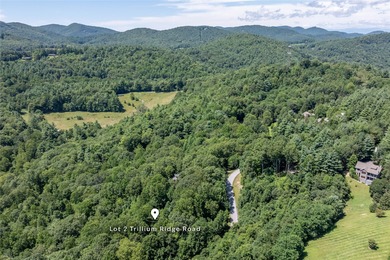 Discover a 1.98-acre parcel in the Trillium Ridge section of on Trillium Links in North Carolina - for sale on GolfHomes.com, golf home, golf lot