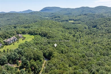 Discover a 1.98-acre parcel in the Trillium Ridge section of on Trillium Links in North Carolina - for sale on GolfHomes.com, golf home, golf lot