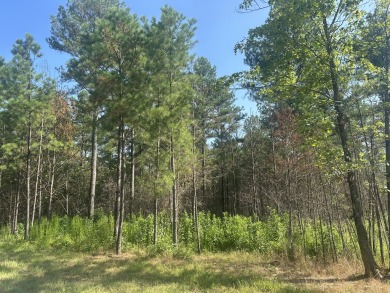 Welcome to 520 Buck Crossing, Lot 1030, River Gorge Ranch on Black Creek Club in Tennessee - for sale on GolfHomes.com, golf home, golf lot