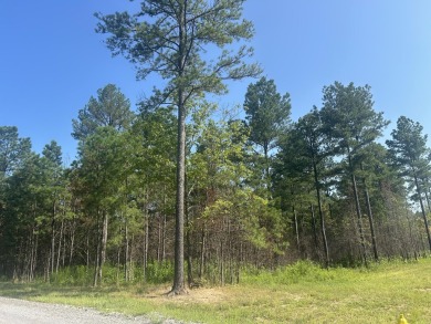 Welcome to 520 Buck Crossing, Lot 1030, River Gorge Ranch on Black Creek Club in Tennessee - for sale on GolfHomes.com, golf home, golf lot