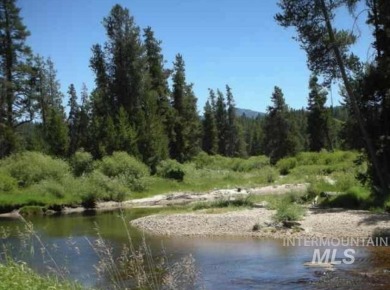 Welcome home to Elk Meadows River Ranches, with only 14 lots on Osprey Meadows at Tamarack Resort in Idaho - for sale on GolfHomes.com, golf home, golf lot
