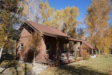 Jeffrey Wilkin, Land Properties, LLC, C: , jeff,  : Two on Rio Grande Golf Club in Colorado - for sale on GolfHomes.com, golf home, golf lot