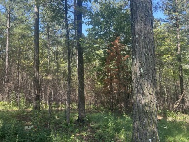 Welcome to 520 Buck Crossing, Lot 1030, River Gorge Ranch on Black Creek Club in Tennessee - for sale on GolfHomes.com, golf home, golf lot