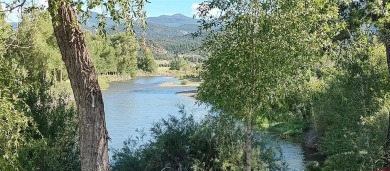 Jeffrey Wilkin, Land Properties, LLC, C: , jeff,  : Two on Rio Grande Golf Club in Colorado - for sale on GolfHomes.com, golf home, golf lot