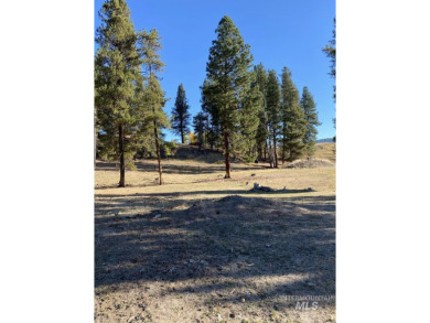 Welcome home to Elk Meadows River Ranches, with only 14 lots on Osprey Meadows at Tamarack Resort in Idaho - for sale on GolfHomes.com, golf home, golf lot
