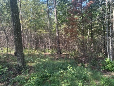 Welcome to 520 Buck Crossing, Lot 1030, River Gorge Ranch on Black Creek Club in Tennessee - for sale on GolfHomes.com, golf home, golf lot
