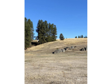 Welcome home to Elk Meadows River Ranches, with only 14 lots on Osprey Meadows at Tamarack Resort in Idaho - for sale on GolfHomes.com, golf home, golf lot