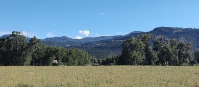 Jeffrey Wilkin, Land Properties, LLC, C: , jeff,  : Two on Rio Grande Golf Club in Colorado - for sale on GolfHomes.com, golf home, golf lot