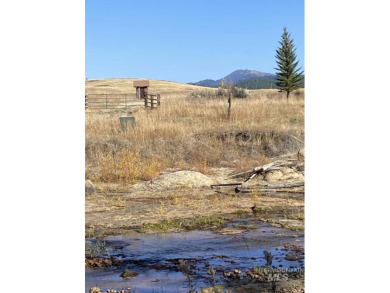 Welcome home to Elk Meadows River Ranches, with only 14 lots on Osprey Meadows at Tamarack Resort in Idaho - for sale on GolfHomes.com, golf home, golf lot