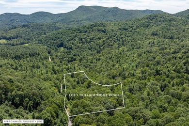 Enjoy mountain views and a great location in this rare dual-lot on Trillium Links in North Carolina - for sale on GolfHomes.com, golf home, golf lot