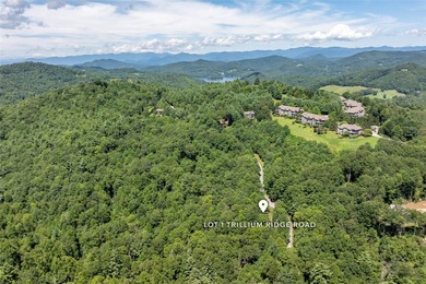Enjoy mountain views and a great location in this rare dual-lot on Trillium Links in North Carolina - for sale on GolfHomes.com, golf home, golf lot
