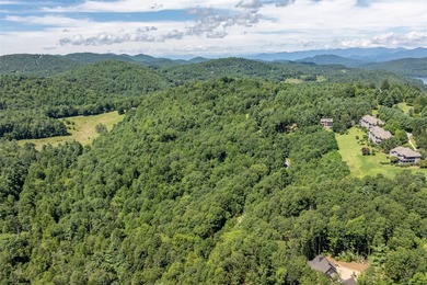 Enjoy mountain views and a great location in this rare dual-lot on Trillium Links in North Carolina - for sale on GolfHomes.com, golf home, golf lot