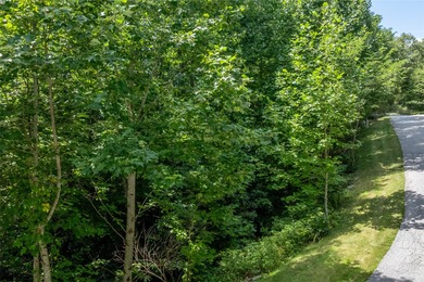 Enjoy mountain views and a great location in this rare dual-lot on Trillium Links in North Carolina - for sale on GolfHomes.com, golf home, golf lot