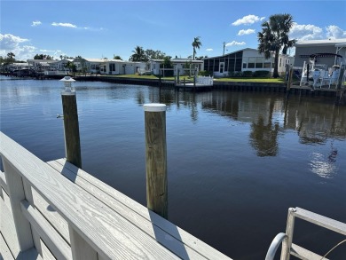 WATERFRONT living at its finest! HIGH & DRY!!! This lovely 2 on Mangrove Bay Golf Course in Florida - for sale on GolfHomes.com, golf home, golf lot