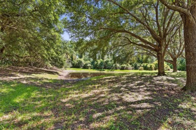 NEW ROOF to be installed by end September. Seller motivated on Halifax Plantation Golf Club in Florida - for sale on GolfHomes.com, golf home, golf lot