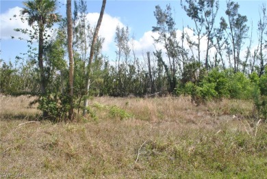 Large cleared lot located in the desirable Alden Pines on Alden Pines Golf Club in Florida - for sale on GolfHomes.com, golf home, golf lot