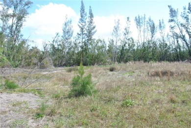 Large cleared lot located in the desirable Alden Pines on Alden Pines Golf Club in Florida - for sale on GolfHomes.com, golf home, golf lot