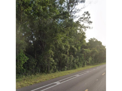 This beautiful 62 ac. tract with highway frontage off of NW on Chiefland Golf and Country Club in Florida - for sale on GolfHomes.com, golf home, golf lot