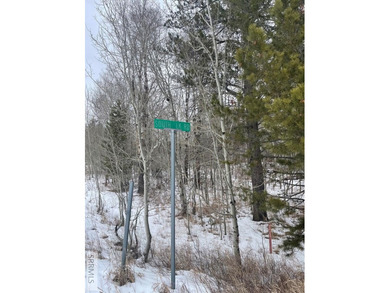 Wow! This lot has it all. Privacy, Trees, Close to recreation on Timberline Golf Course in Idaho - for sale on GolfHomes.com, golf home, golf lot