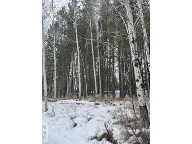 Wow! This lot has it all. Privacy, Trees, Close to recreation on Timberline Golf Course in Idaho - for sale on GolfHomes.com, golf home, golf lot