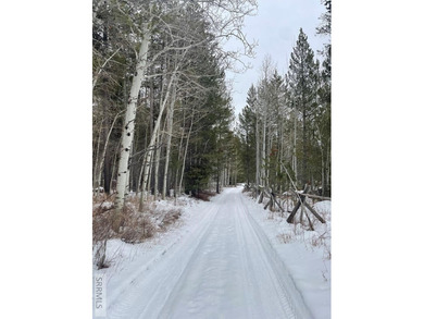 Wow! This lot has it all. Privacy, Trees, Close to recreation on Timberline Golf Course in Idaho - for sale on GolfHomes.com, golf home, golf lot