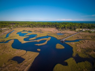 Welcome to Cape Plantation, Lot 15--where your Florida dream on Saint Josephs Bay Country Club in Florida - for sale on GolfHomes.com, golf home, golf lot