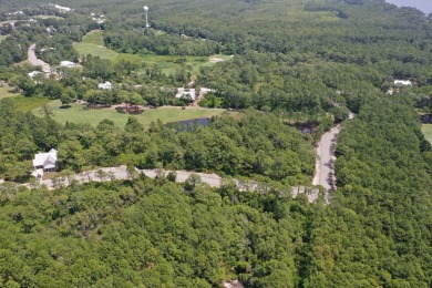 Presenting TWO contiguous lots (Lots 165  167) in an X Flood on St. James Bay in Florida - for sale on GolfHomes.com, golf home, golf lot