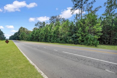 A prime 10.38-acre parcel of land in Chatham County, perfectly on Henderson Golf Club in Georgia - for sale on GolfHomes.com, golf home, golf lot