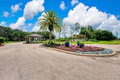 Welcome to your dream home in the tranquil community of Misty on Misty Creek Country Club in Florida - for sale on GolfHomes.com, golf home, golf lot