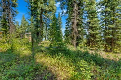 Direct Ski access from this custom homesite in Tamarack Resort on Osprey Meadows at Tamarack Resort in Idaho - for sale on GolfHomes.com, golf home, golf lot