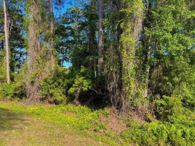 Nestled down Pinewood Avenue in charming Carrabelle, Florida on St. James Bay in Florida - for sale on GolfHomes.com, golf home, golf lot