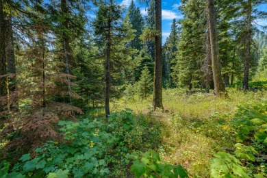 Direct Ski access from this custom homesite in Tamarack Resort on Osprey Meadows at Tamarack Resort in Idaho - for sale on GolfHomes.com, golf home, golf lot