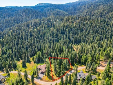 Direct Ski access from this custom homesite in Tamarack Resort on Osprey Meadows at Tamarack Resort in Idaho - for sale on GolfHomes.com, golf home, golf lot