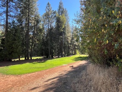 Beautiful location amongst pines and cedar with peekaboo view of on Forest Meadows Golf Course in California - for sale on GolfHomes.com, golf home, golf lot