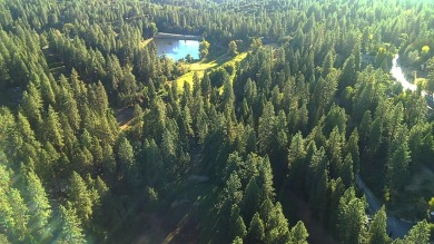 Beautiful location amongst pines and cedar with peekaboo view of on Forest Meadows Golf Course in California - for sale on GolfHomes.com, golf home, golf lot