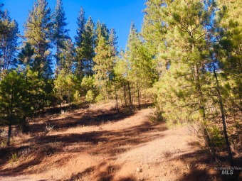 Very Private, wooded parcel in MeadowCreek Resort! Large on Meadowcreek Golf Resort in Idaho - for sale on GolfHomes.com, golf home, golf lot