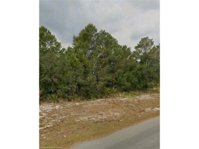 LOCATION, LOCATION!! THIS GREAT LOT IS IN THE DESIRABLE SUN N' on Sun n Lake Golf and Country Club in Florida - for sale on GolfHomes.com, golf home, golf lot