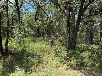 Discover an unparalleled opportunity to own 22.5 acres within on Nocona Hills Golf Course in Texas - for sale on GolfHomes.com, golf home, golf lot