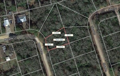 THIS IS THE VERY BEST COUNTY CLUB IN TEXAS for the money. Let me on Hilltop Lakes Resort Golf Club in Texas - for sale on GolfHomes.com, golf home, golf lot