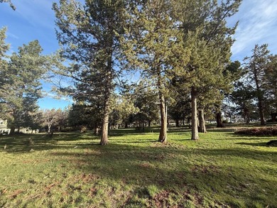 Discover the perfect blend of tranquility and recreation with on Running Y Ranch Resort in Oregon - for sale on GolfHomes.com, golf home, golf lot