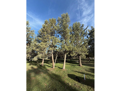 Discover the perfect blend of tranquility and recreation with on Running Y Ranch Resort in Oregon - for sale on GolfHomes.com, golf home, golf lot