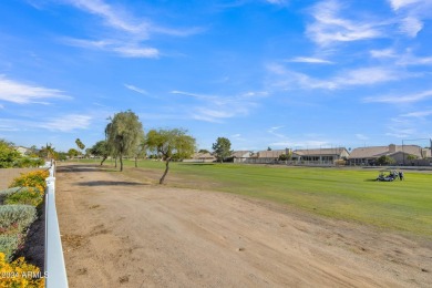 THIS HOME IS COMPLETELY TURN KEY, LOCATED IN EAST MESA & NO HOA! on Painted Mountain Golf Club in Arizona - for sale on GolfHomes.com, golf home, golf lot