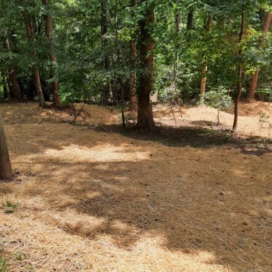 Build-Ready Estate Lot in Buckhorn - Nearly 1 Acre with Driveway on White Path Golf Club in Georgia - for sale on GolfHomes.com, golf home, golf lot