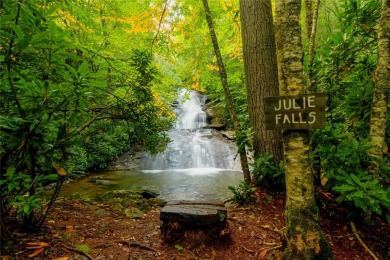 Gorgeous mountain view lot with a very gentle home site sitting on Natures Walk At Chinquapin in North Carolina - for sale on GolfHomes.com, golf home, golf lot