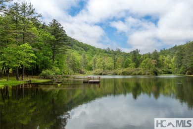Gorgeous mountain view lot with a very gentle home site sitting on Natures Walk At Chinquapin in North Carolina - for sale on GolfHomes.com, golf home, golf lot