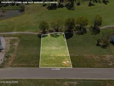 Perfectly positioned on the 15th fairway with views of the 14th on Tennessee National Golf Club in Tennessee - for sale on GolfHomes.com, golf home, golf lot