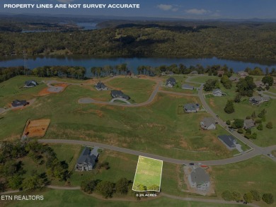 Perfectly positioned on the 15th fairway with views of the 14th on Tennessee National Golf Club in Tennessee - for sale on GolfHomes.com, golf home, golf lot