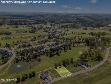 Perfectly positioned on the 15th fairway with views of the 14th on Tennessee National Golf Club in Tennessee - for sale on GolfHomes.com, golf home, golf lot