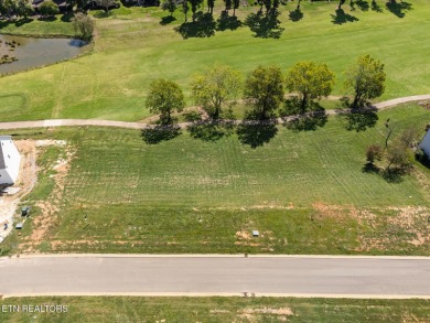 Perfectly positioned on the 15th fairway with views of the 14th on Tennessee National Golf Club in Tennessee - for sale on GolfHomes.com, golf home, golf lot